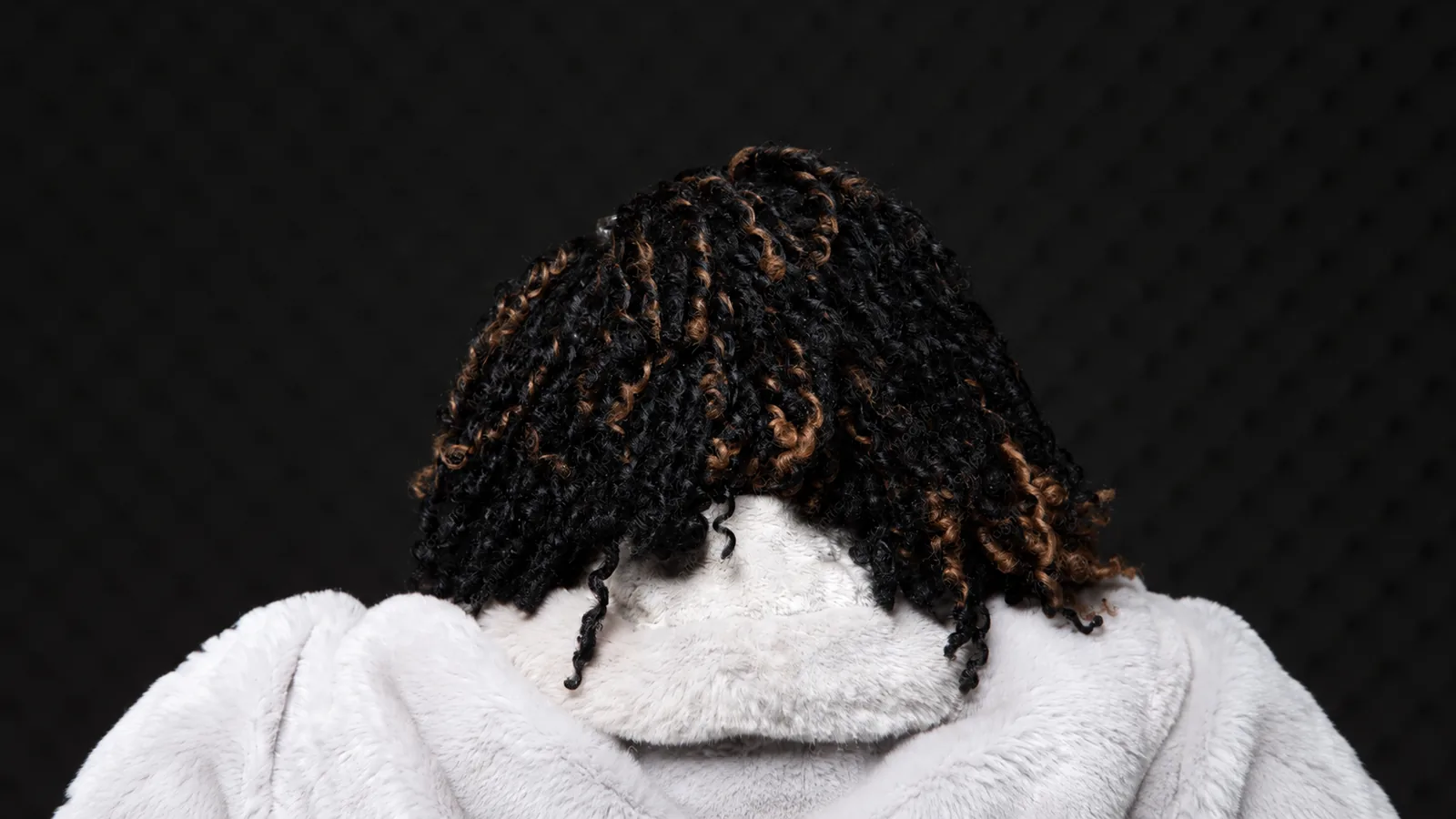 Two-strand twists with honey highlights, seen from behind